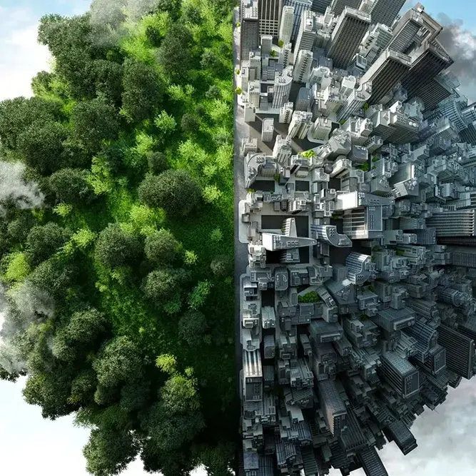 Mondo diviso in due, da una parte alberi e dall'altra case e inquinamento